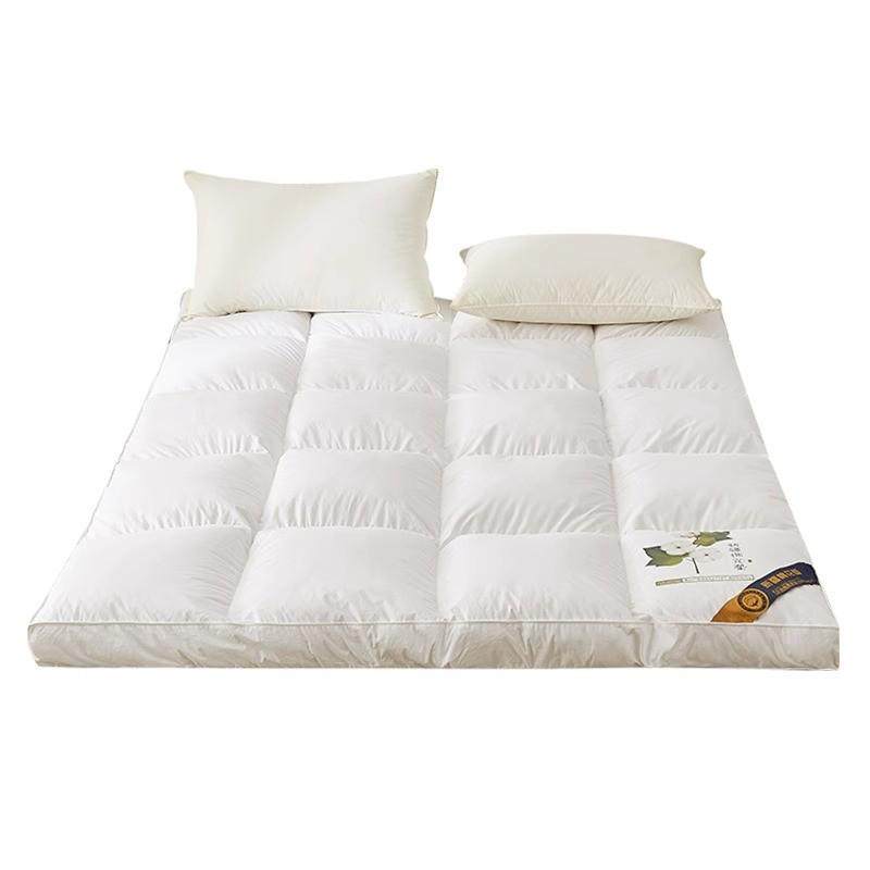 全棉棉花床垫软垫家用榻榻米加厚铺垫被J褥子单人学生宿舍租房专,包装,快递中转袋,淘宝优惠券,粉丝福利购,淘宝优惠卷