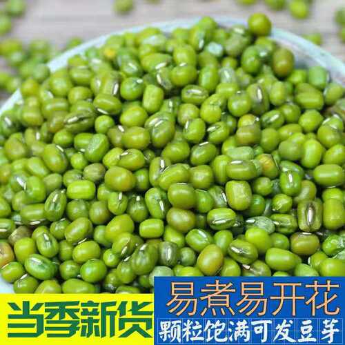 东北农家小绿豆新货可做绿豆汤发豆芽消暑易煮五谷杂粮多规格可选