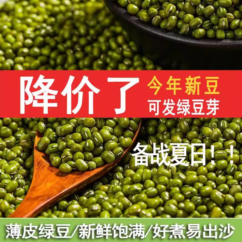 产地直销 新绿豆新小绿豆新鲜绿豆发豆芽绿豆汤散装精品批发清仓
