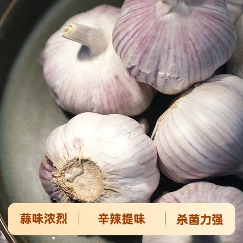 干大蒜头1.8斤蒜当季新蒜大蒜头新鲜农家紫白皮大蒜当季蔬菜整箱