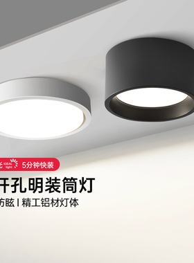 箭牌明装筒灯圆形免开孔走廊灯客厅吸顶式led天花射灯过道玄关灯