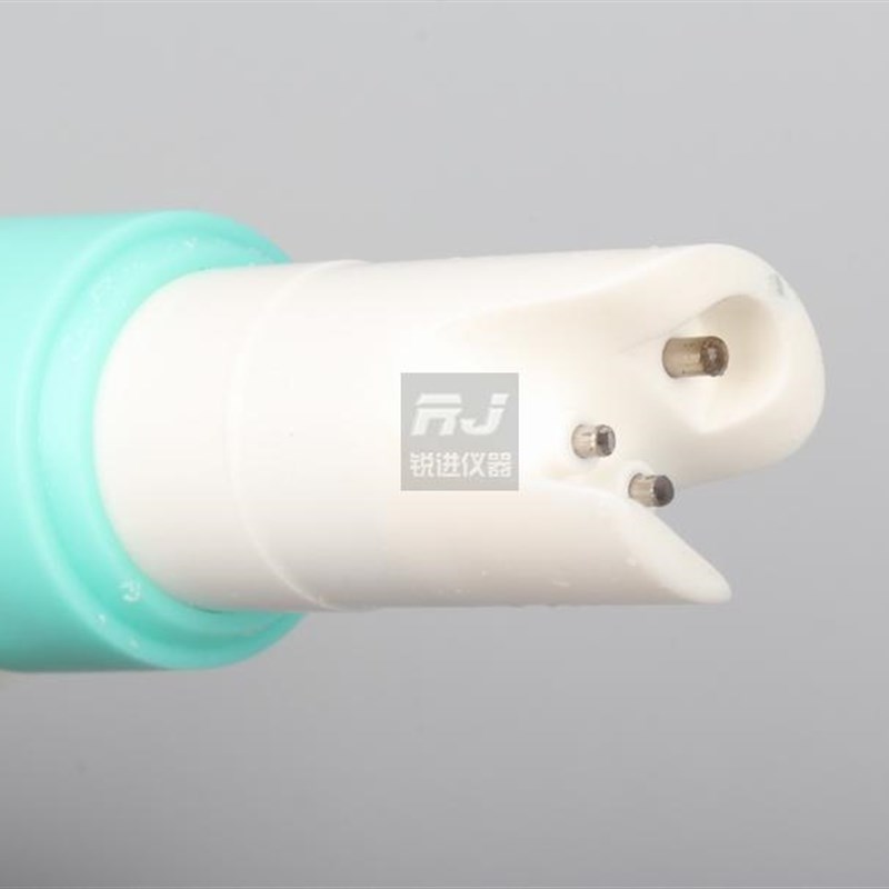 (齐威便携笔式电导率仪测试仪电导率计纯净水水质DDB-12L/12H