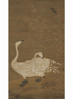 宋佚名雪芦双雁图70x40cm  F宋元工笔画挂画装饰画彷古字画