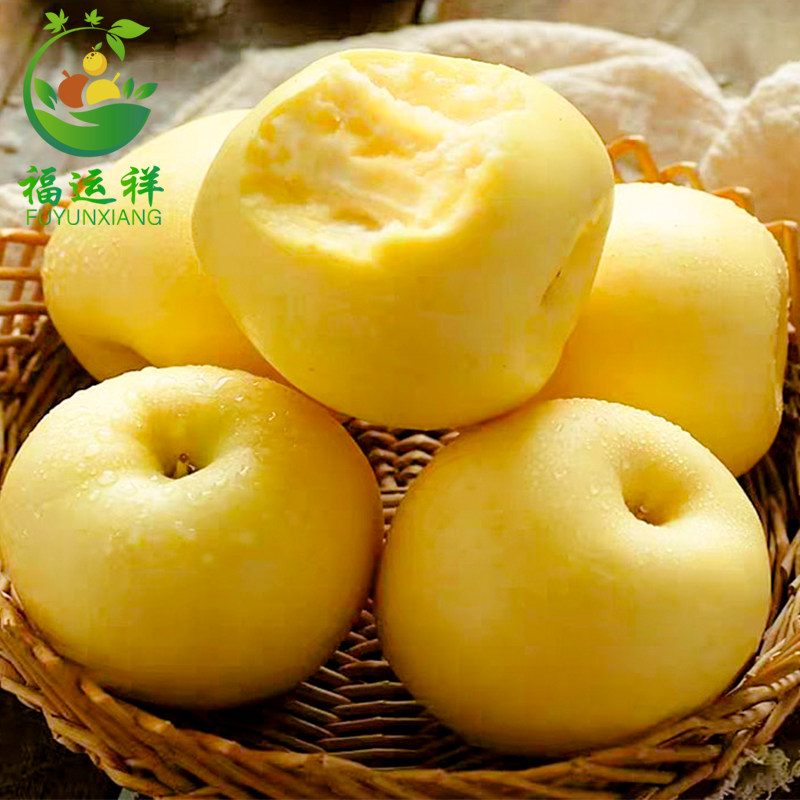 【黄金奶油富士】脆甜正宗山东烟台富士苹果新鲜应季当季水果整箱