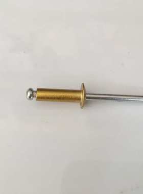 香槟黄 金黄色抽芯铆钉4x12 4x13   5x13 5*13 5x12彩色铆钉