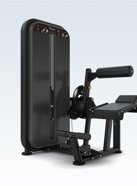 乔山VISION腹部背部训练器 VST600-S531家用健身房力量运动器材