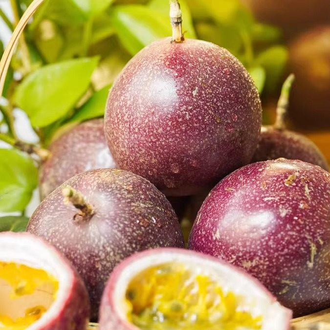 金都三号紫皮百香果9甜1酸18个糖饱满多汁特惠排单发货等果子成熟