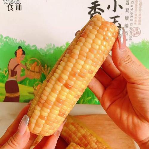 云南香糯小玉米礼盒轻食香甜糯真空装香糯早餐小玉米非熟食代餐