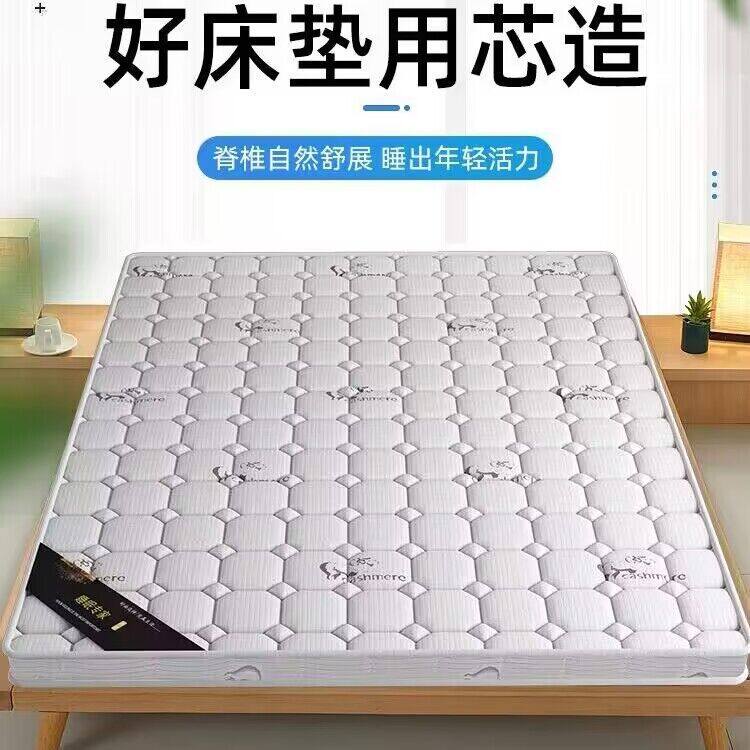 椰棕床垫学生儿童护脊椎硬床垫家用偏硬榻榻米环保薄棕榈床垫子