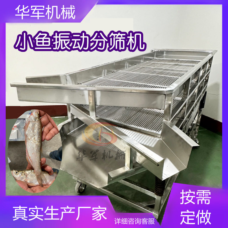 商用全自动小鱼振动分筛机不锈钢直线振动筛小鱼分选机分级机厂家
