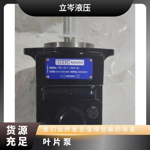 丹尼逊DENISON叶片泵双联泵T6C0143R00B1注塑机压铸机油泵