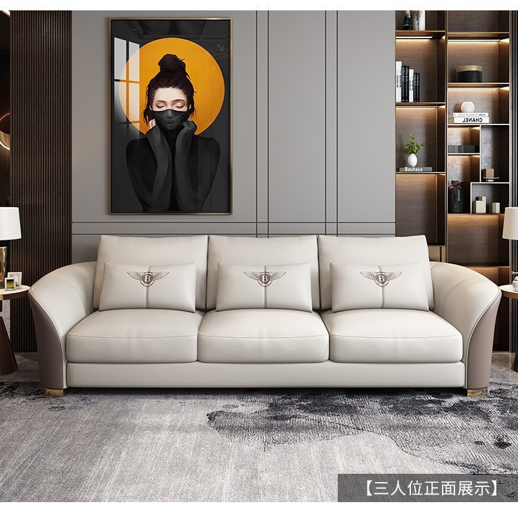 轻奢真皮沙发小户型组合现代简约客厅皮艺沙发美式三人位极简家具