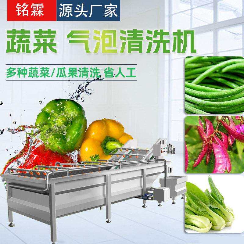 中央厨房净菜设备流水线小油菜果蔬清洗机不锈钢豇豆气泡清洗机