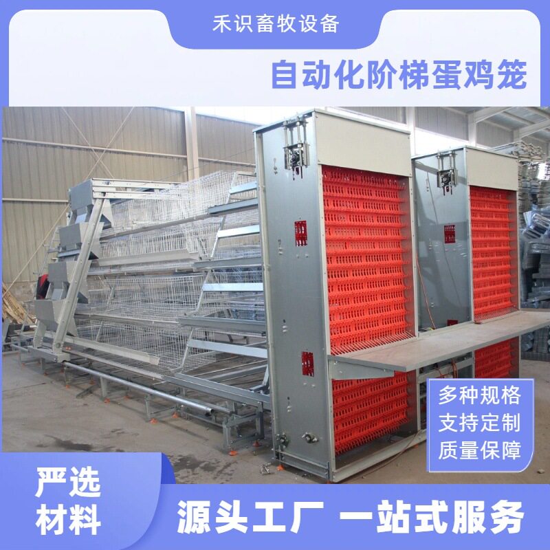全自动阶梯蛋鸡笼养鸡养殖设备加背负式喂料机捡蛋机多层阶梯热镀