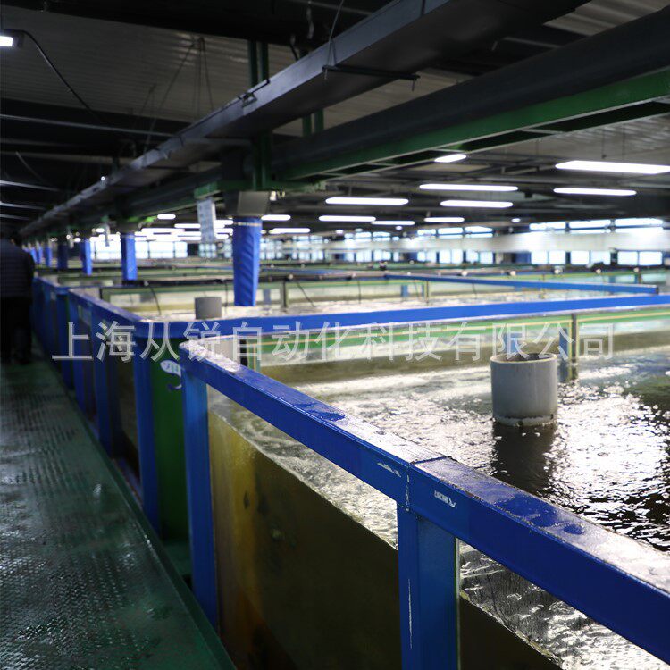 大型工厂化室内循环水加州鲈鱼高密度养殖系统集成及养殖设备