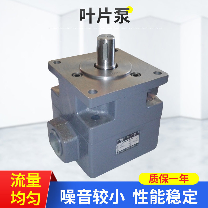 桂北平面磨床永灵油泵YLC大水磨液压泵叶片泵YB1-100