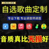 定制车载U盘自选歌曲订制MP4优盘内存卡定做流行音乐WAV无损音质