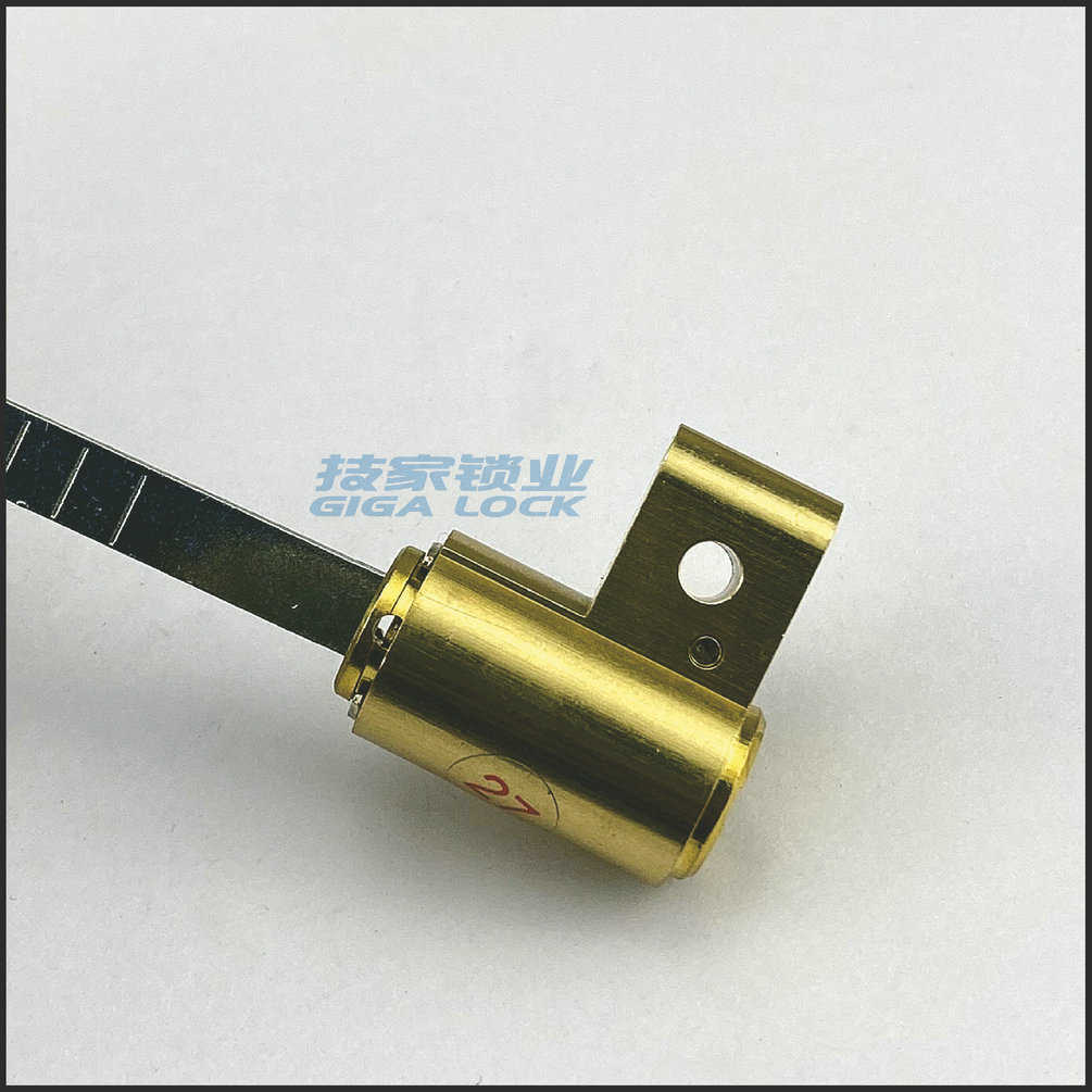 指纹锁锁芯适用IMOmU乐橙大华/aciga安心加底装智能锁头电子门锁