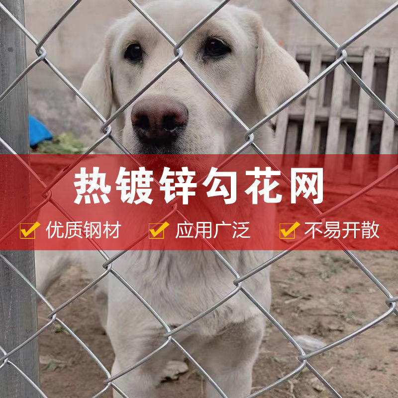 极速新款b厂促勾花网镀锌铁丝网围栏铁网圈山网养殖鸡鸭牛羊网山