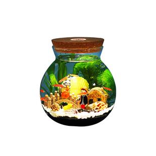 极速生态瓶科学用生态瓶diy材x料包水族鱼缸微景观生态瓶diy材料