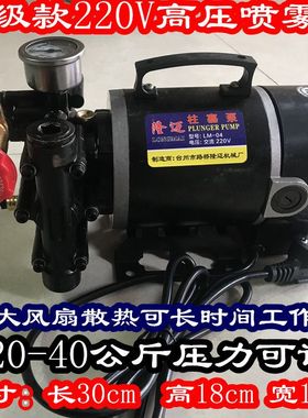 极速手提式12V24V48V60Vz220电动喷雾器果树双缸柱塞喷药机泵农用