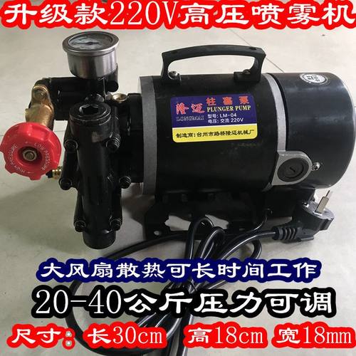 极速手提式12V24V48V60Vz220电动喷雾器果树双缸柱塞喷药机泵农用