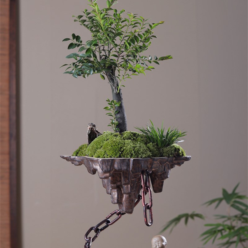 极速促天空之城小叶紫檀黑骨茶苔藓禅F意绿植盆景栽办公室内书桌