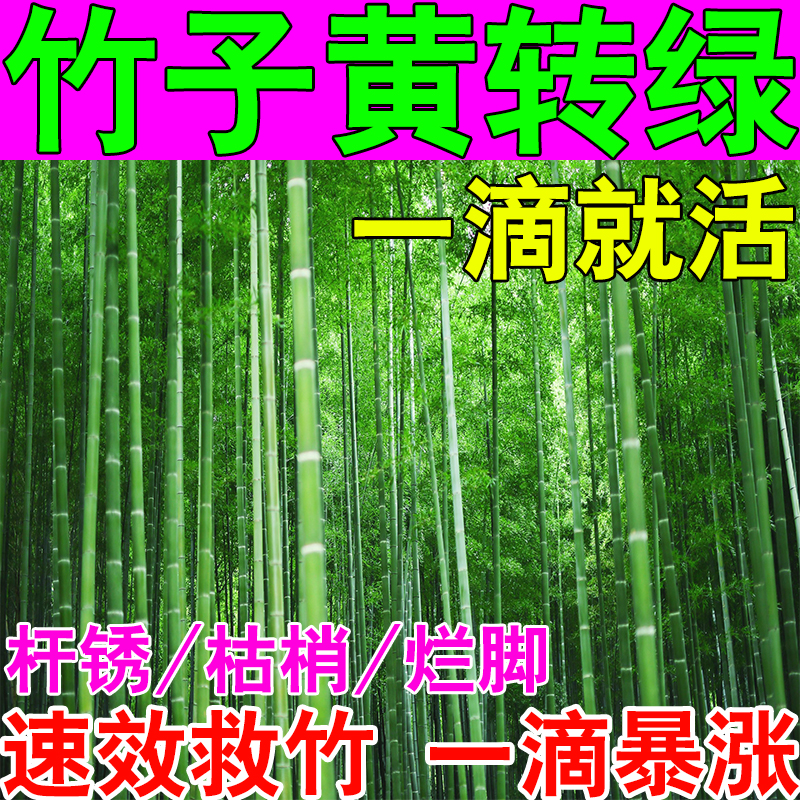 极速竹子生根剂烂根药盆栽绿植专用肥料绿K竹成活营养液复活剂死