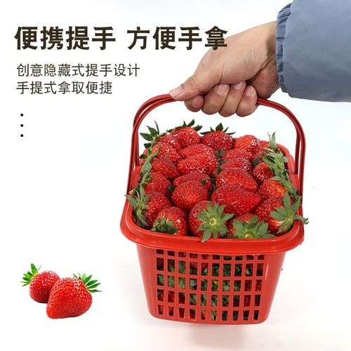 极速塑料水果筐子熟料水果一次性手提篮子采M摘草莓篮樱桃采摘杨