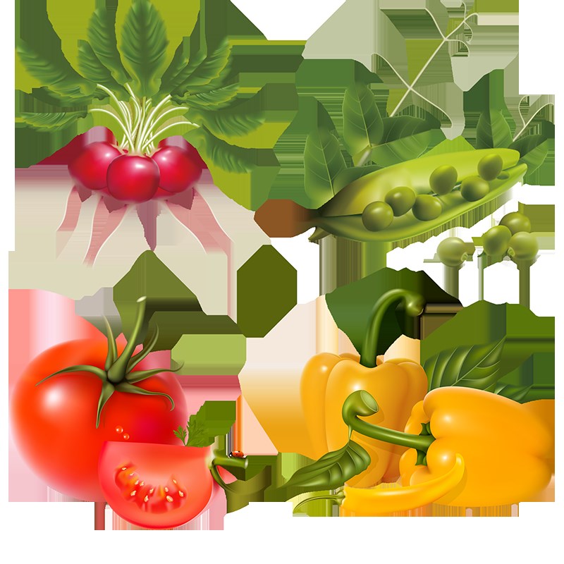 极速水果蔬菜厨房k墙贴画橱柜门贴画防水瓷砖玻璃贴花餐厅冰箱贴