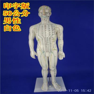 极速超清晰铜g人针灸穴位人体模型男女刻字中医教学用针灸经络练