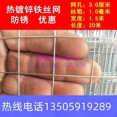 极速新品询价厂销鸡网片r围栏防鼠铁丝网鹅镀锌护O栏防电焊兔钢丝