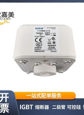 170M6419 170M6420 快速熔断器 保险丝 电子元器件 量大价优