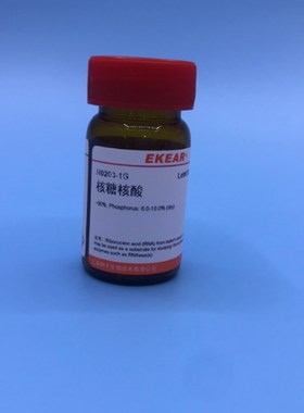 核糖核酸/Ribonucleic ascid/RNA/CAS号:63231-63-0/1G 科研用品