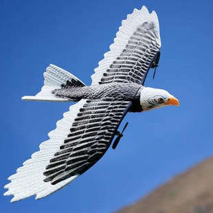 遥控飞机小飞鸟老鹰能飞电动w航模固定翼滑翔机网红动物玩具飞行