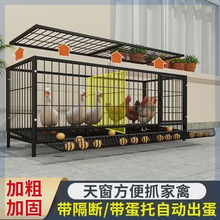 鸡下蛋专用笼子家用鸡笼子养殖笼家用铁笼鸡舍家用W蛋鸡笼特大号