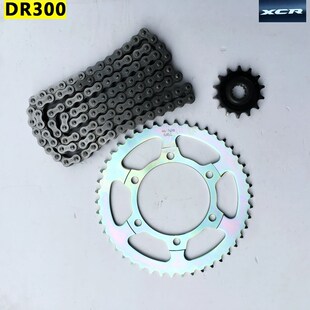 GW250 GSX DL DtR300 XCR TR大小飞原厂出口油封链条