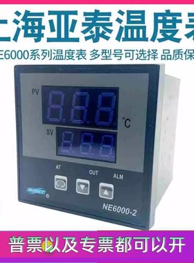 上海亚泰NE-6411V-2仪表温控器NE6C000-2温控仪NE-5411数显温度表
