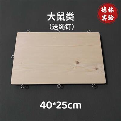 极速小鼠手术台大鼠解剖板蛙类兔类解F剖板软木易扎钉好捆绑实验