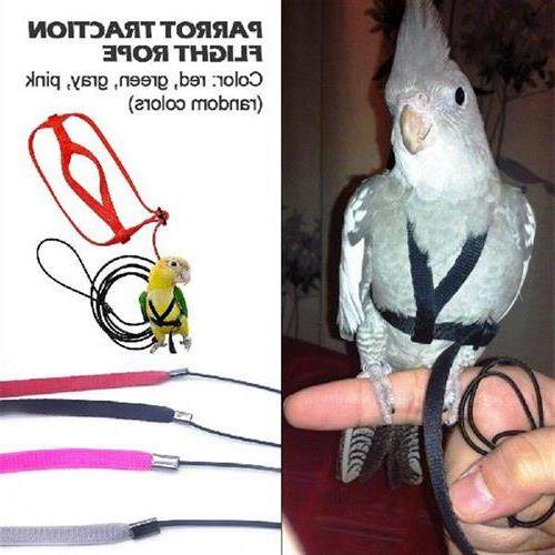 极速Parrot Harnesms And Leash Flying Antibite Traction Strap