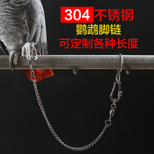 全304不锈钢鹦鹉脚环脚链活扣D防脱扣金刚葵花灰鹦鹉鸟链子