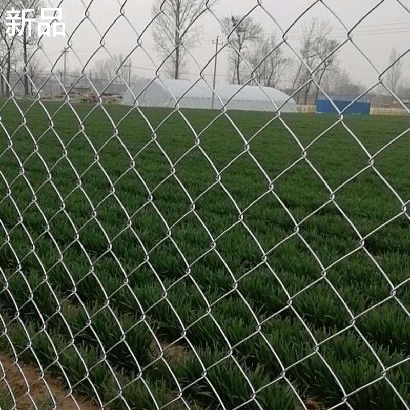 热镀锌铁丝网围栏果园养殖防护钢丝养G鸡网养狗不生锈勾花网护新