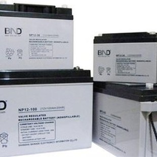 百纳德蓄电池GFM 400直流屏UPS计B算机2主机电源2V300AH现货5