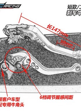 适用龙嘉XDV250Si xdv3w00i改装刹车牛角 带驻车 短款二指手把拉
