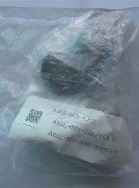 A06B-6079-K812=A63L-0001-0592/10AK+A63L-0001-0648/X81810SH