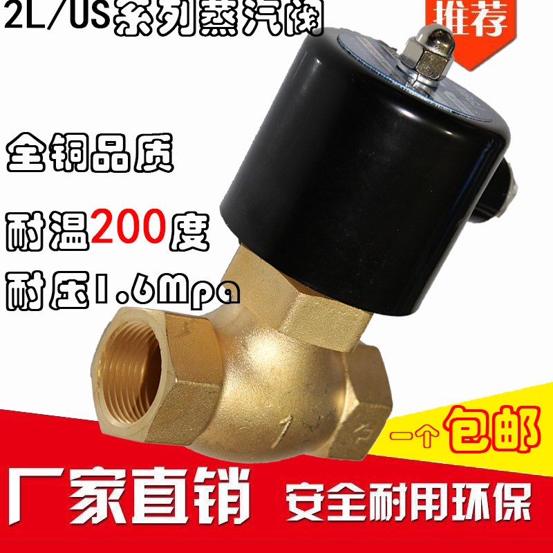 6分蒸汽电磁阀 蒸气阀 2L200-2x0 耐高温电磁阀 US-20 AC220V24V