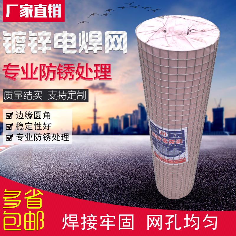 加粗加硬热镀锌铁丝网小孔围栏防锈养殖I护栏网鸡鸽兔笼Y防鼠防蛇