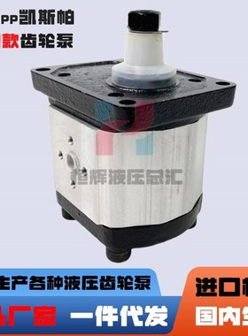 新款凯斯帕液压油泵CASAPPA齿轮泵PLP20-4/6.3/7.2O/8/9/10/11.2