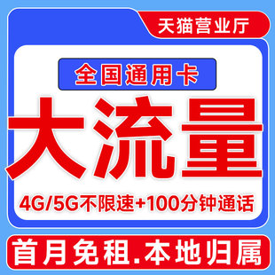 中国流量卡纯流量上网卡5g无线限流量卡全国通用手机电话卡大王卡