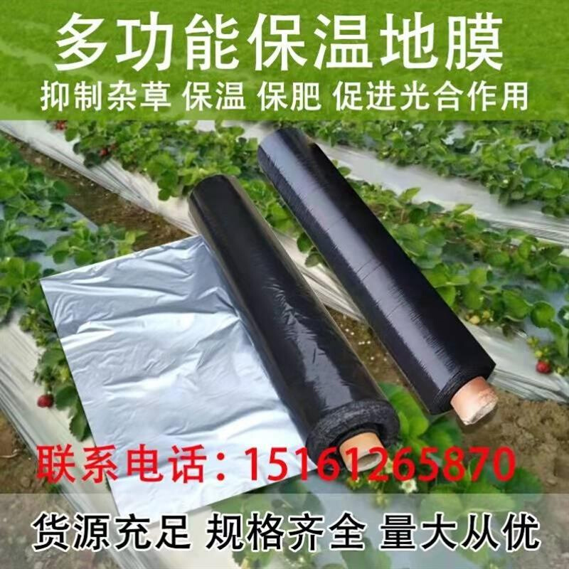 大棚草莓农用除黑草地料银黑双色地膜加厚防虫反光地膜覆盖除草保